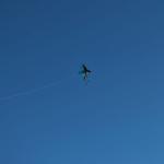 cambria2012_0231 (November 03, 2012)